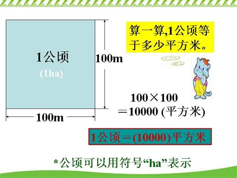 一公頃 幾甲|單位面積換算